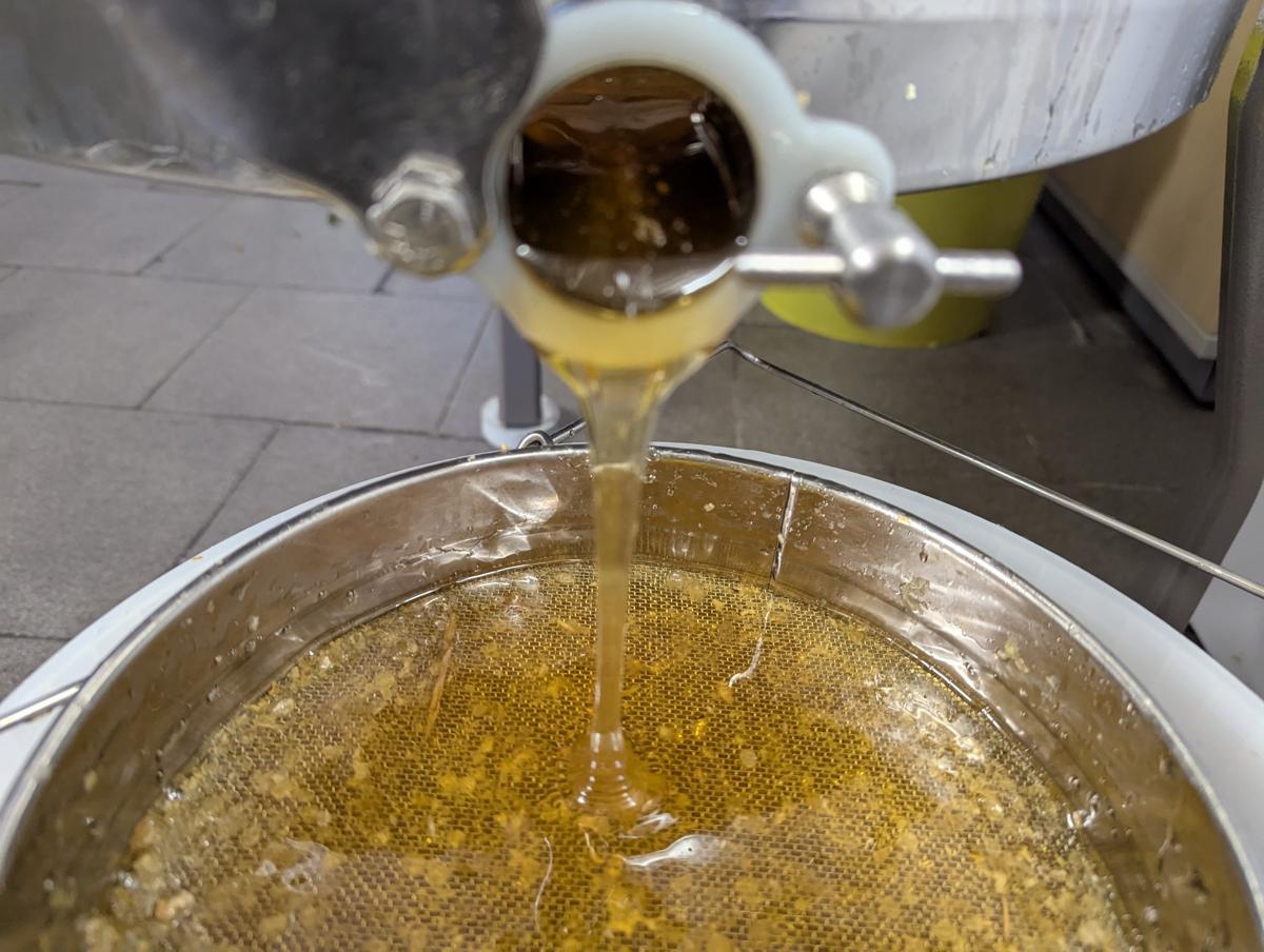 Erntezeit: Frisch geschleuderter Honig läuft durchs Doppelsieb.